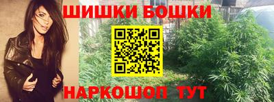 хмурый Бердск
