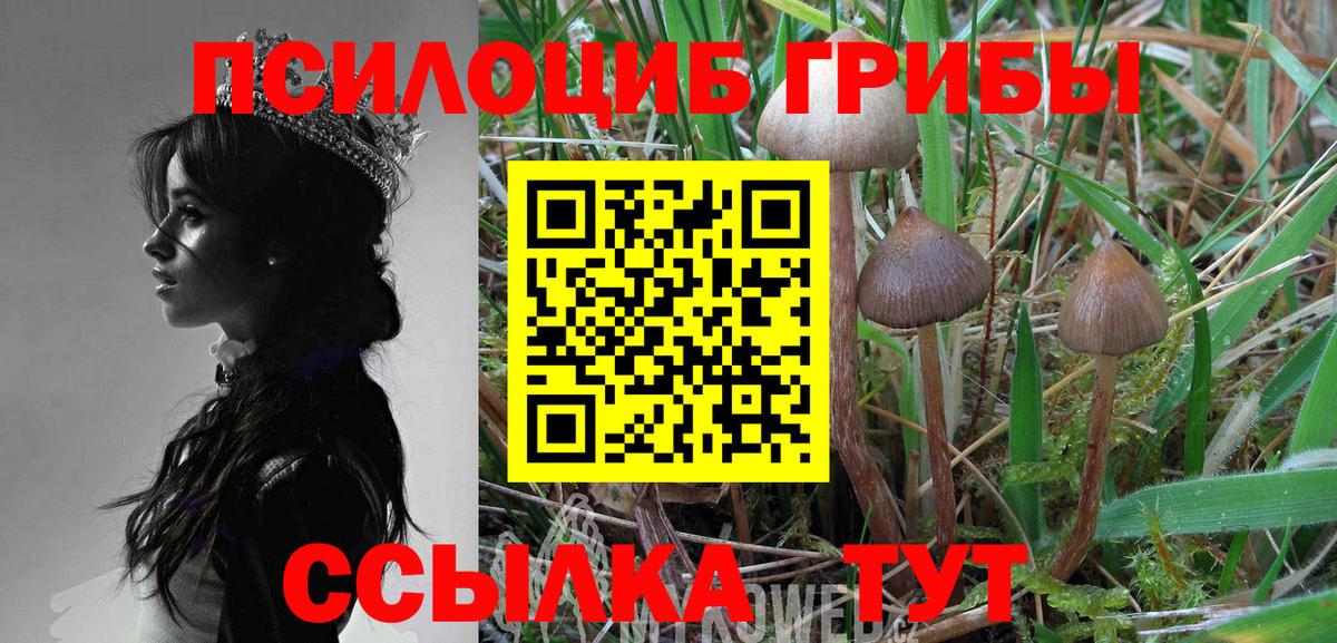 Касимов  Псилоцибиновые грибы мицелий  Псилоцибиновые грибы прущие грибы  Вход с VPN 
