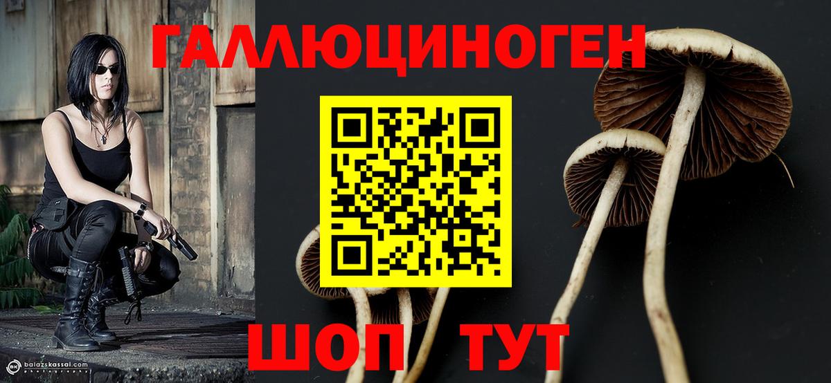 Псилоцибиновые грибы мицелий Касимов